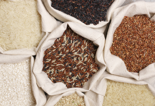 Vector Smart Object-2 Vector Smart Object-2