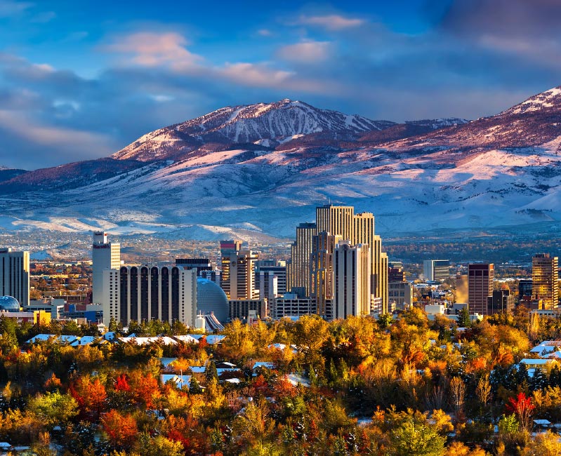 Vector Smart Object-3 Vector Smart Object-3