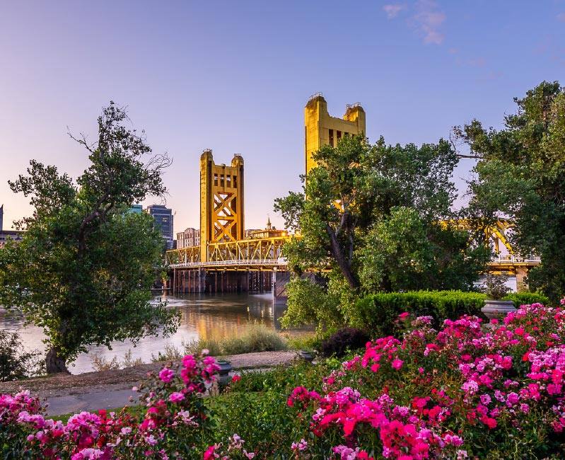 Vector Smart Object Vector Smart Object